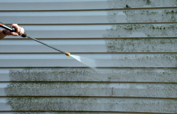 Best Sidewalk and Walkway Cleaning  in Bellevle, IL