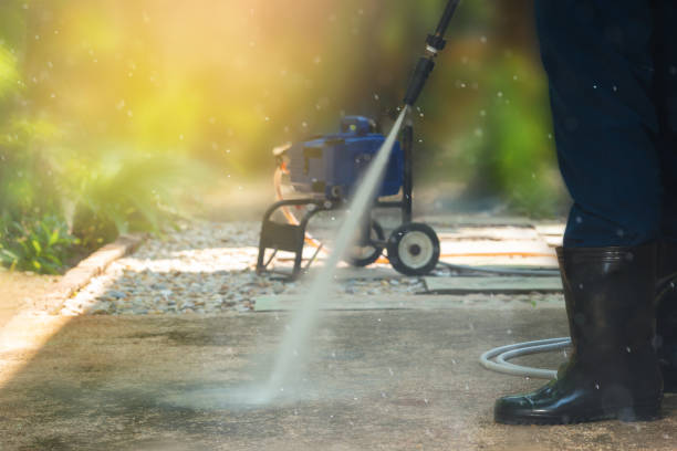 Best Boat and Dock Cleaning  in Bellevle, IL